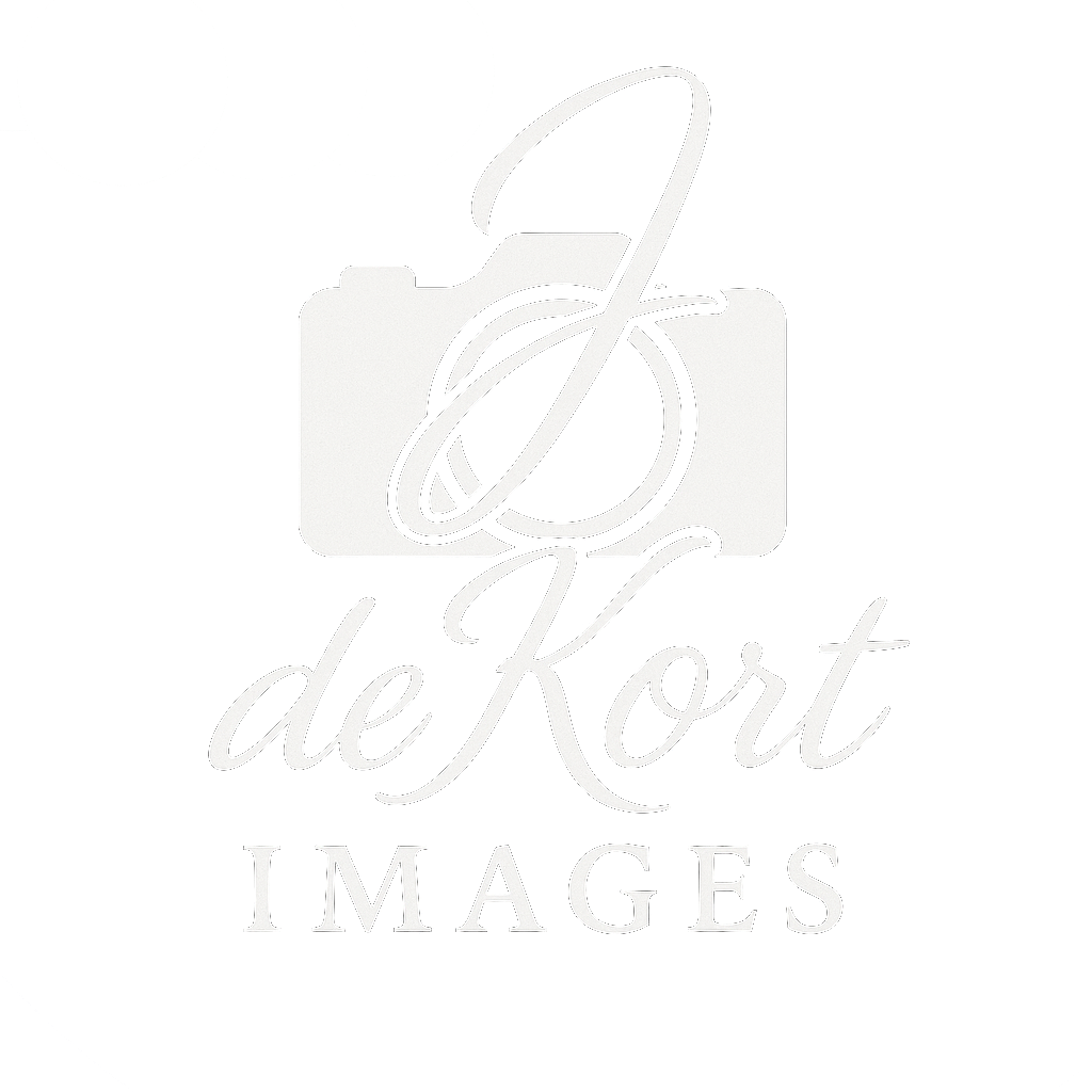 Welcome to my portfolio